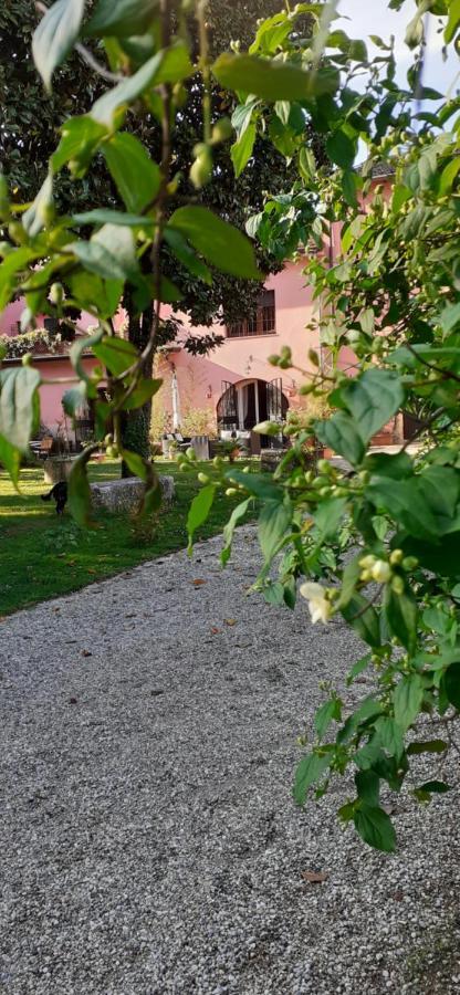 Residenza La Dimora Imperfetta Hotell Salionze Exteriör bild